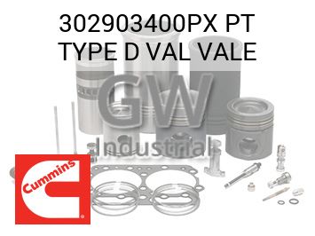 PT TYPE D VAL VALE — 302903400PX