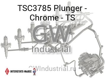 Plunger - Chrome - TS — TSC3785