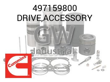 DRIVE,ACCESSORY — 497159800