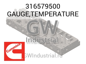 GAUGE,TEMPERATURE — 316579500