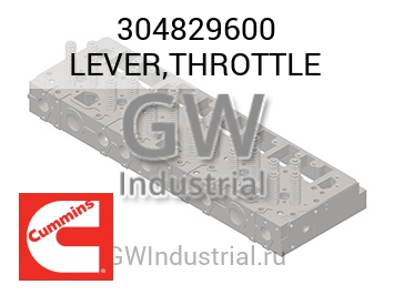 LEVER,THROTTLE — 304829600