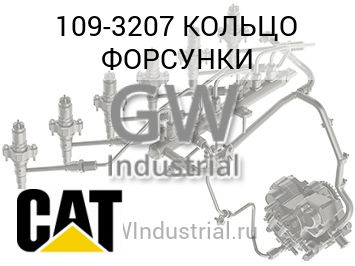 КОЛЬЦО ФОРСУНКИ