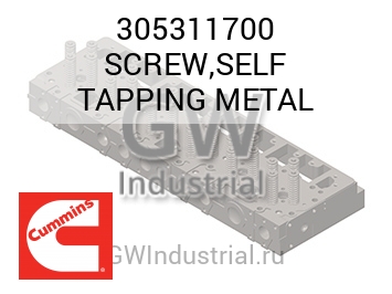 SCREW,SELF TAPPING METAL — 305311700