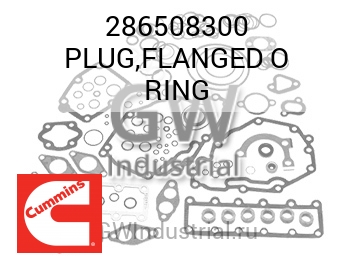 PLUG,FLANGED O RING — 286508300