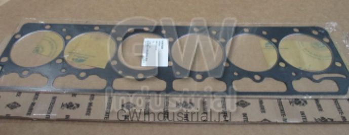 Gasket - Head — M-1817562C4