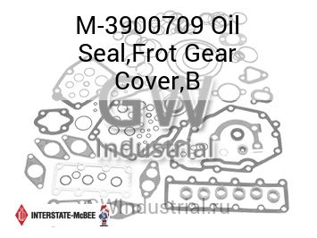 Oil Seal,Frot Gear Cover,B — M-3900709