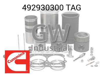 TAG — 492930300