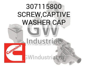 SCREW,CAPTIVE WASHER CAP — 307115800