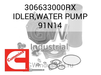 IDLER,WATER PUMP 91N14 — 306633000RX