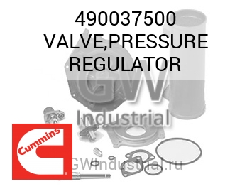 VALVE,PRESSURE REGULATOR — 490037500