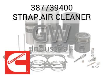 STRAP,AIR CLEANER — 387739400