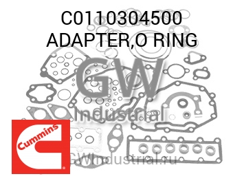 ADAPTER,O RING — C0110304500
