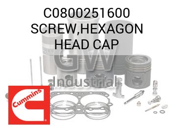 SCREW,HEXAGON HEAD CAP — C0800251600