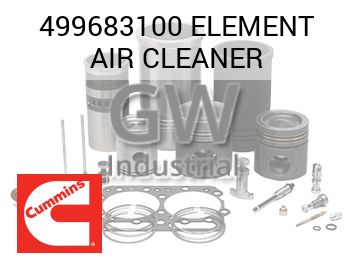 ELEMENT AIR CLEANER — 499683100