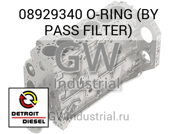 O-RING (BY PASS FILTER) — 08929340