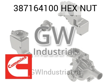 HEX NUT — 387164100