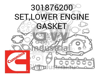 SET,LOWER ENGINE GASKET — 301876200