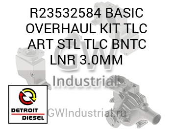 BASIC OVERHAUL KIT TLC ART STL TLC BNTC LNR 3.0MM — R23532584