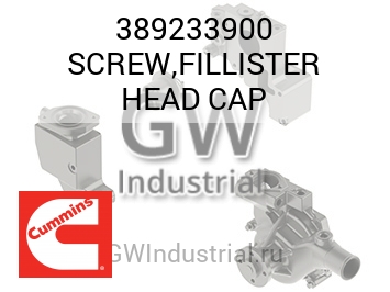 SCREW,FILLISTER HEAD CAP — 389233900