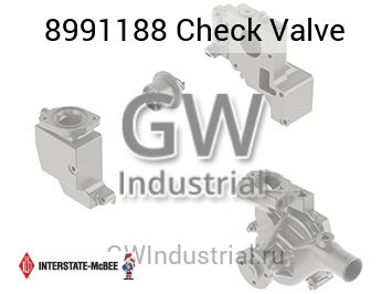 Check Valve — 8991188