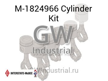 Cylinder Kit — M-1824966