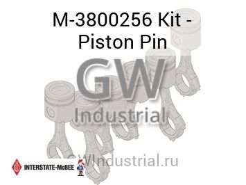 Kit - Piston Pin — M-3800256