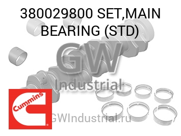 SET,MAIN BEARING (STD) — 380029800