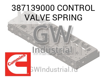 CONTROL VALVE SPRING — 387139000