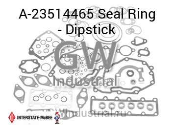 Seal Ring - Dipstick — A-23514465