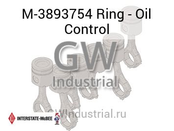 Ring - Oil Control — M-3893754