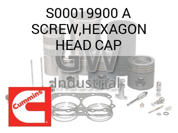 SCREW,HEXAGON HEAD CAP — S00019900 A