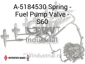 Spring - Fuel Pump Valve - S60 — A-5184530