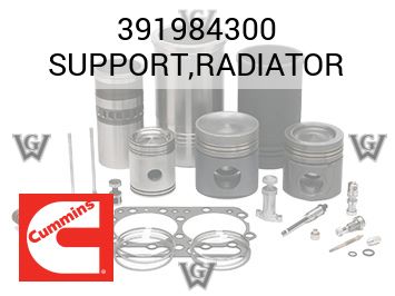 SUPPORT,RADIATOR — 391984300