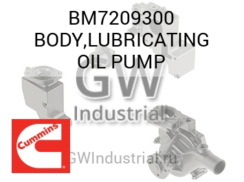 BODY,LUBRICATING OIL PUMP — BM7209300