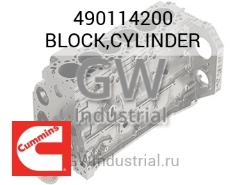 BLOCK,CYLINDER — 490114200