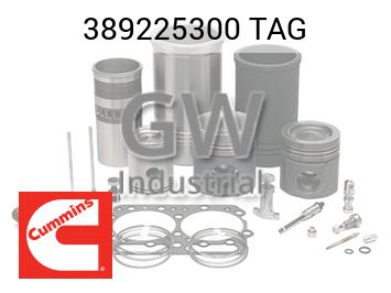 TAG — 389225300