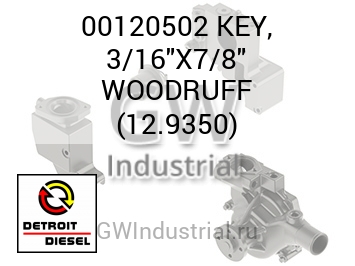 ПОЛУКРУГЛАЯ ШПОНКА 3/16