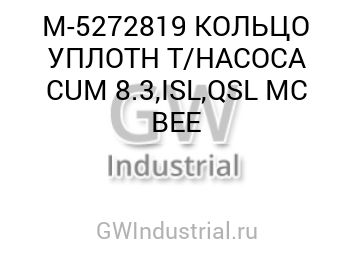 Seal - Rectangular Ring — M-5272819