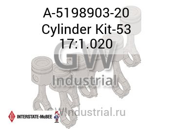 Cylinder Kit-53 17:1.020 — A-5198903-20