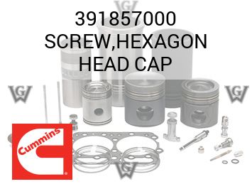 SCREW,HEXAGON HEAD CAP — 391857000