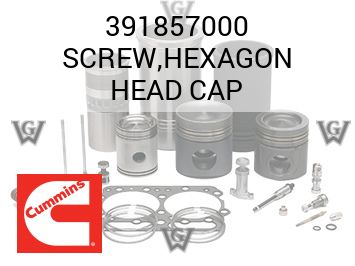 SCREW,HEXAGON HEAD CAP — 391857000