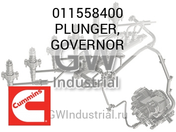 PLUNGER, GOVERNOR — 011558400