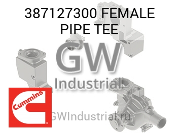 FEMALE PIPE TEE — 387127300