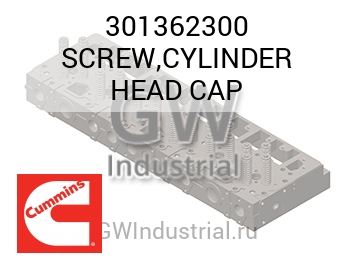 SCREW,CYLINDER HEAD CAP — 301362300