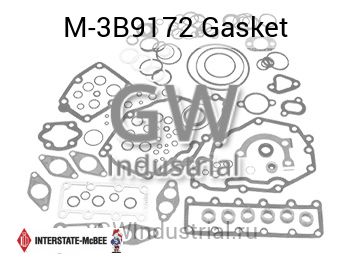 Gasket — M-3B9172