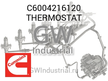 THERMOSTAT — C6004216120