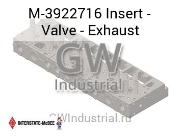 Insert - Valve - Exhaust — M-3922716