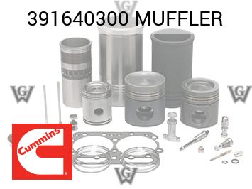 MUFFLER — 391640300