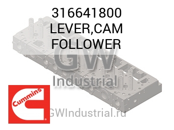 LEVER,CAM FOLLOWER — 316641800