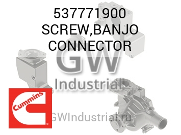 SCREW,BANJO CONNECTOR — 537771900